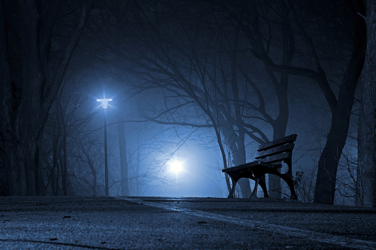 poster-print-at-night-in-the-park