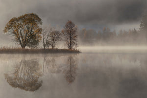 acrylic-print-october-morning