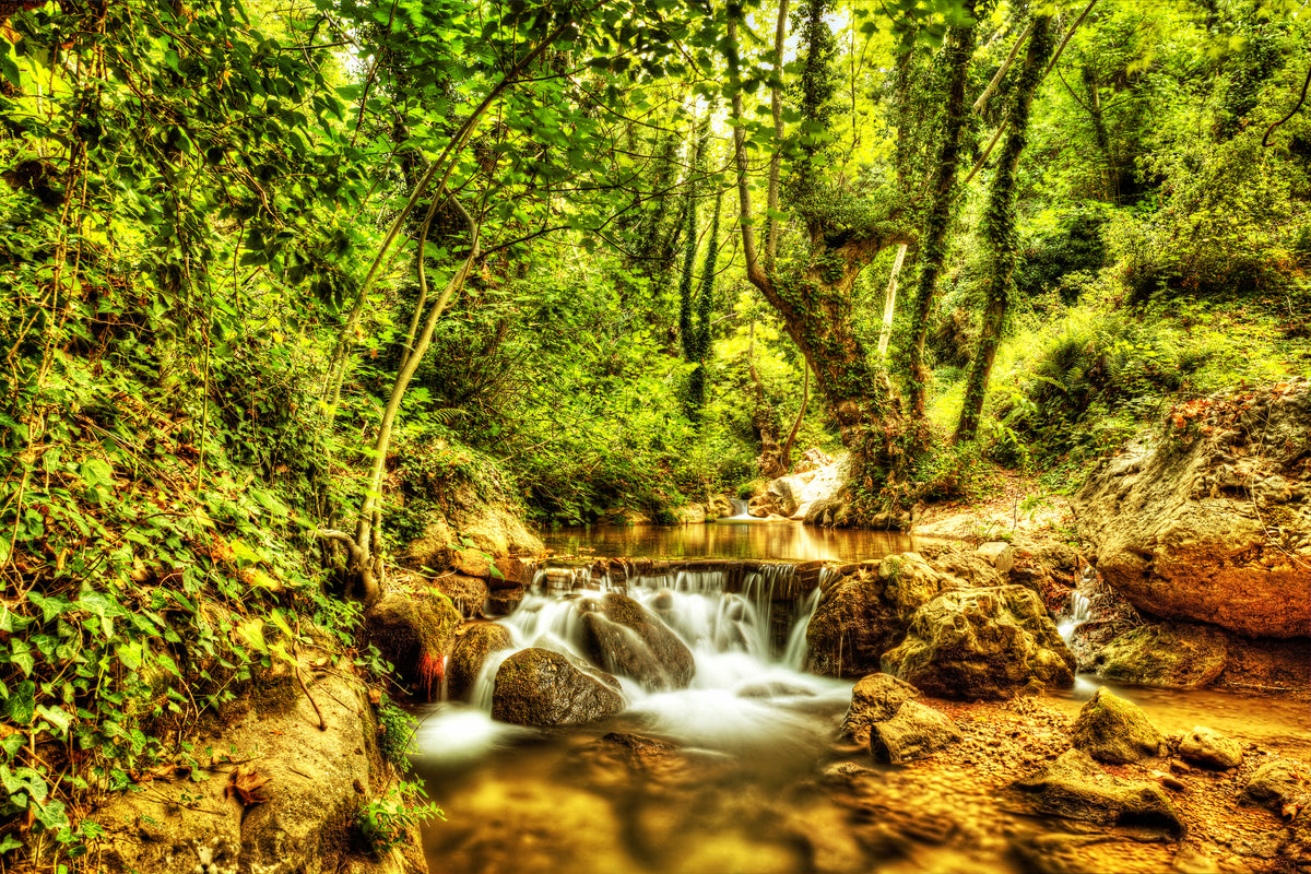poster-print-waterfall-in-the-forest
