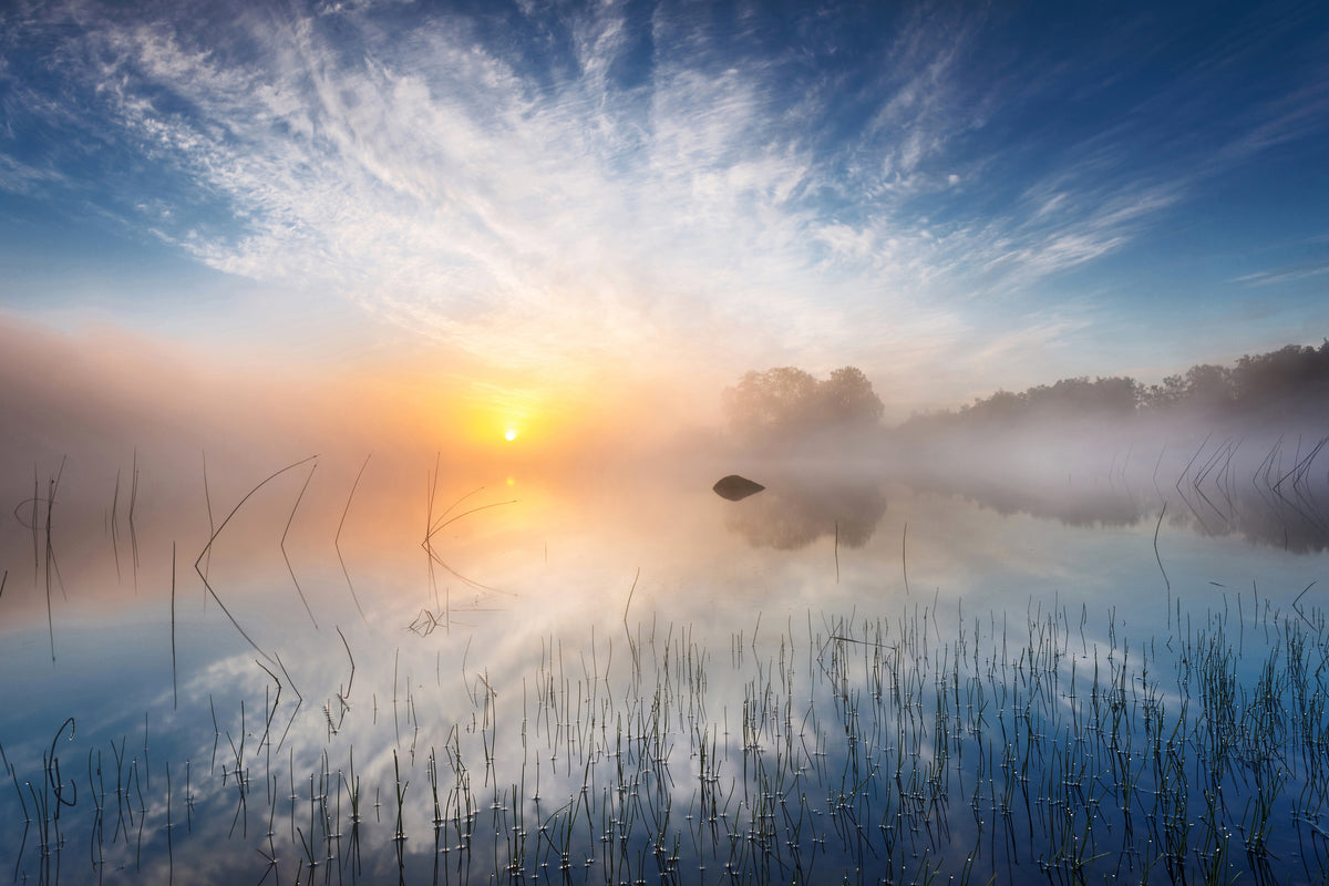 aluminium-print-reflection