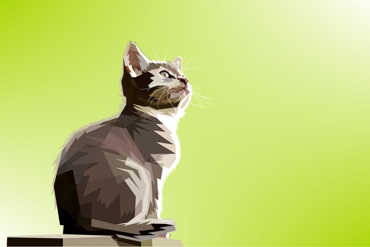 framedcanvas-print-pop-art-cat-xl