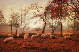 acrylic-print-last-days-of-autumn