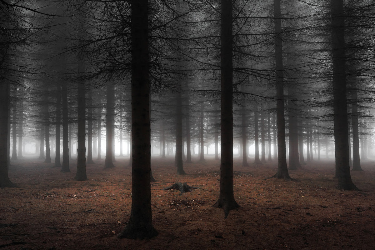 poster-print-silence-ii