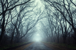 modern-3-piece-canvas-print-cloud-forest