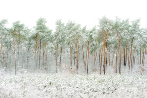 acrylic-print-snow-world