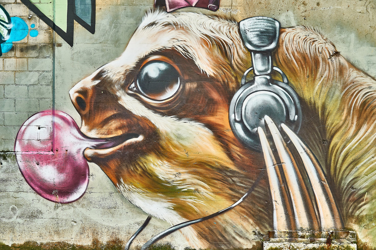 3-piece-aluminium-print-that39s-where-the-dog-rocks