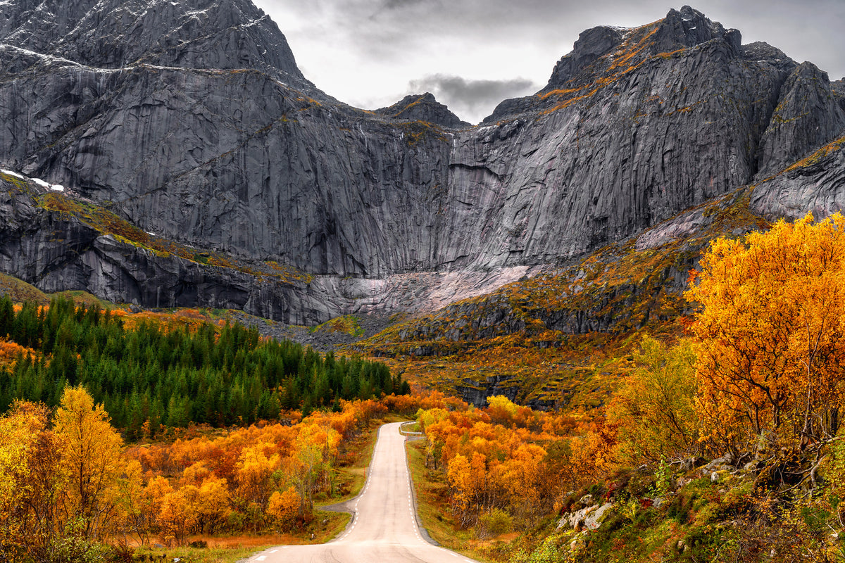 aluminium-print-road-to-the-wall-x