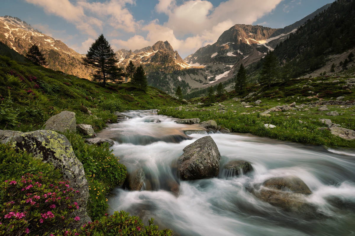framedcanvas-print-maritime-alps-park-x