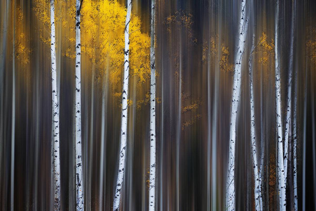 3-piece-canvas-print-curtain-of-fall