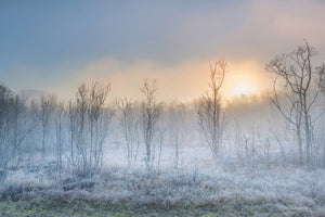 modern-3-piece-canvas-print-a-touch-of-winter