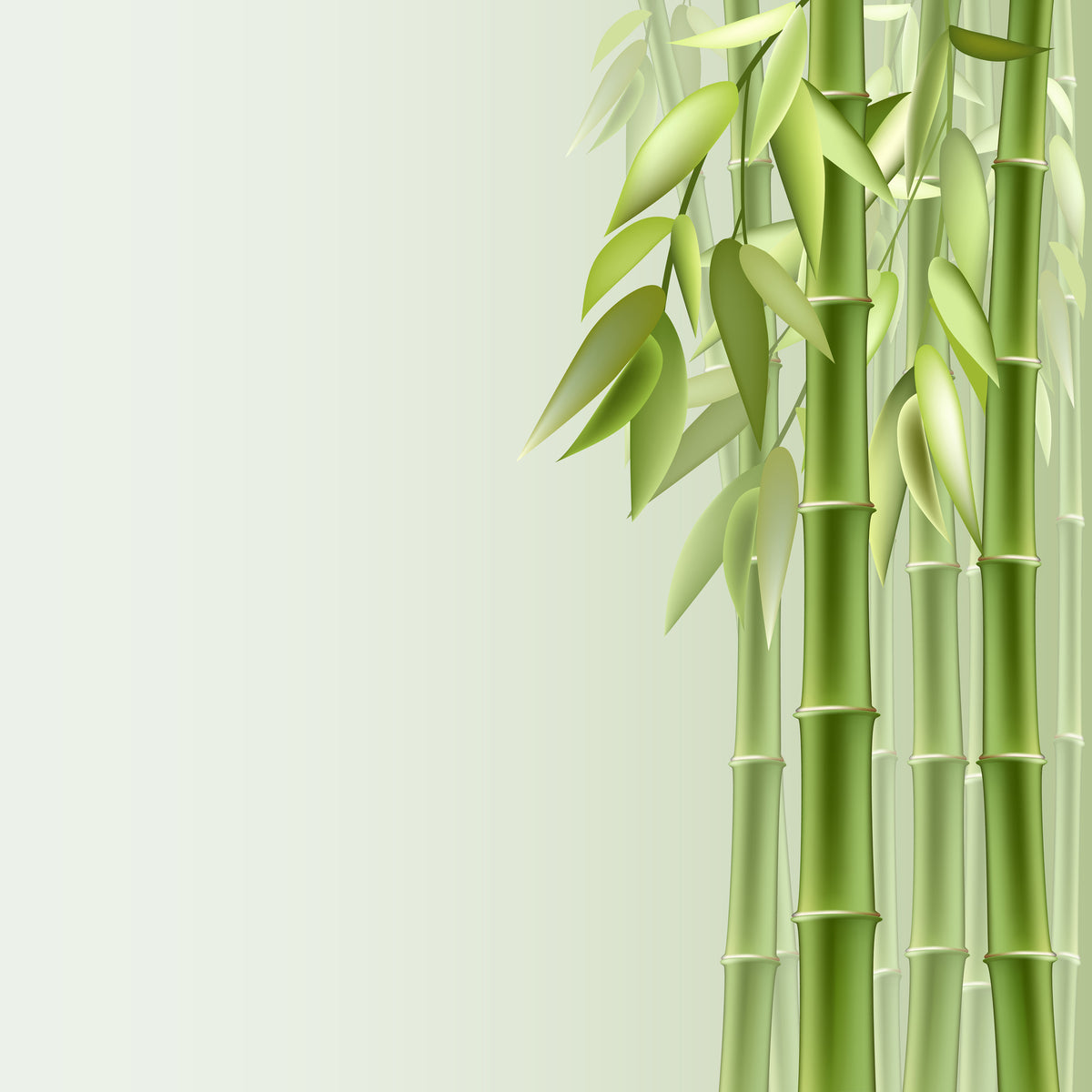 9-piece-canvas-print-green-bamboo