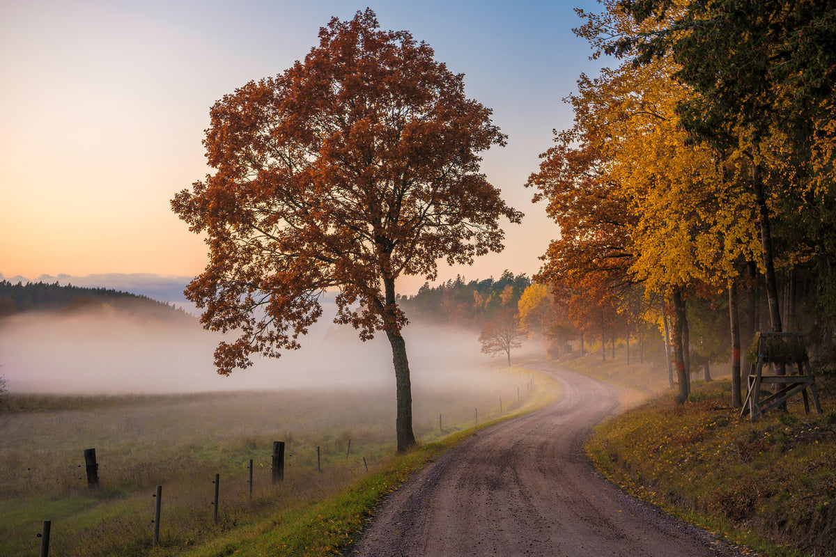 aluminium-print-countryside-vibes-x