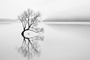 aluminium-print-serenity-xqn