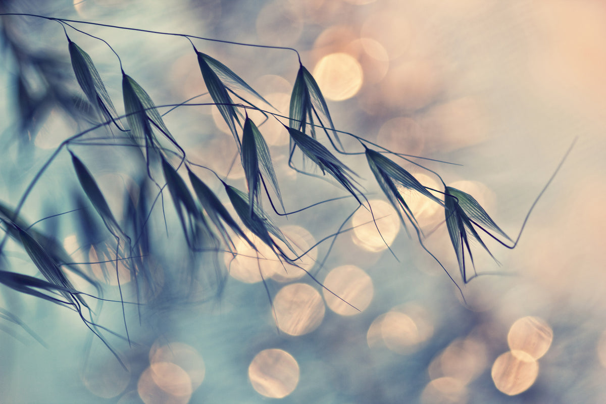3-piece-acrylic-print-straws