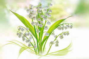 modern-3-piece-aluminium-print-lily-of-the-valley-ii