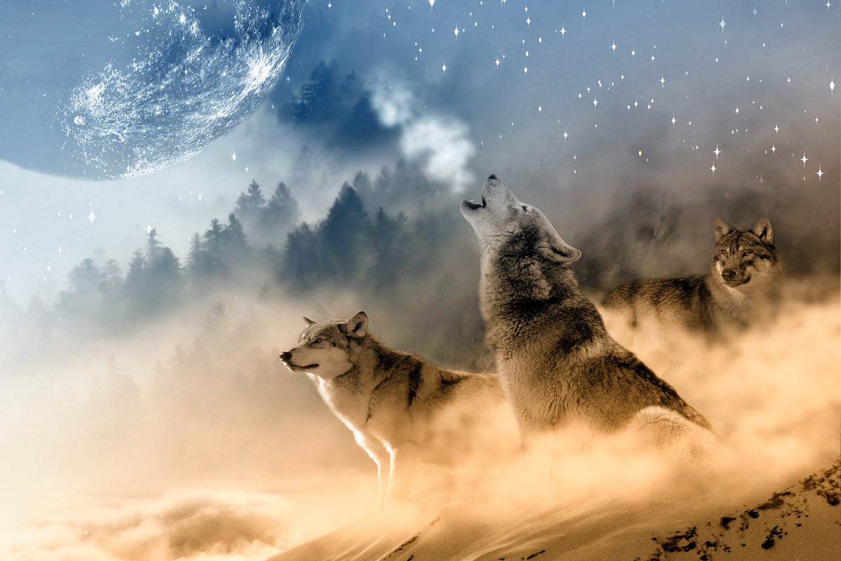 poster-print-the-world-of-wolves