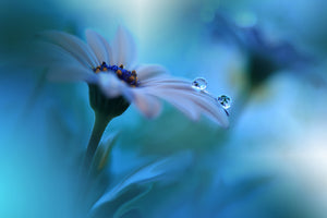 modern-3-piece-aluminium-print-beyond-the-visible
