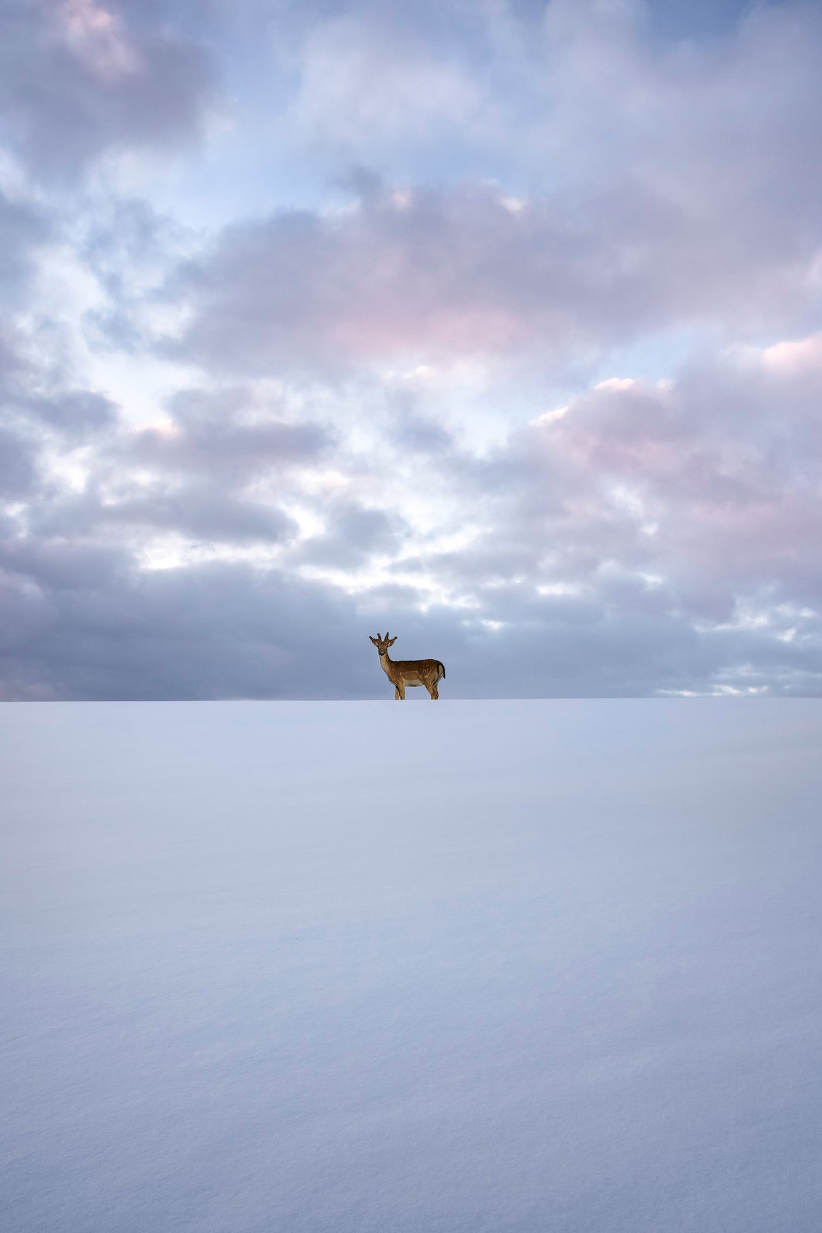 canvas-print-alone