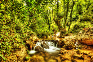 framedcanvas-print-waterfall-in-the-forest