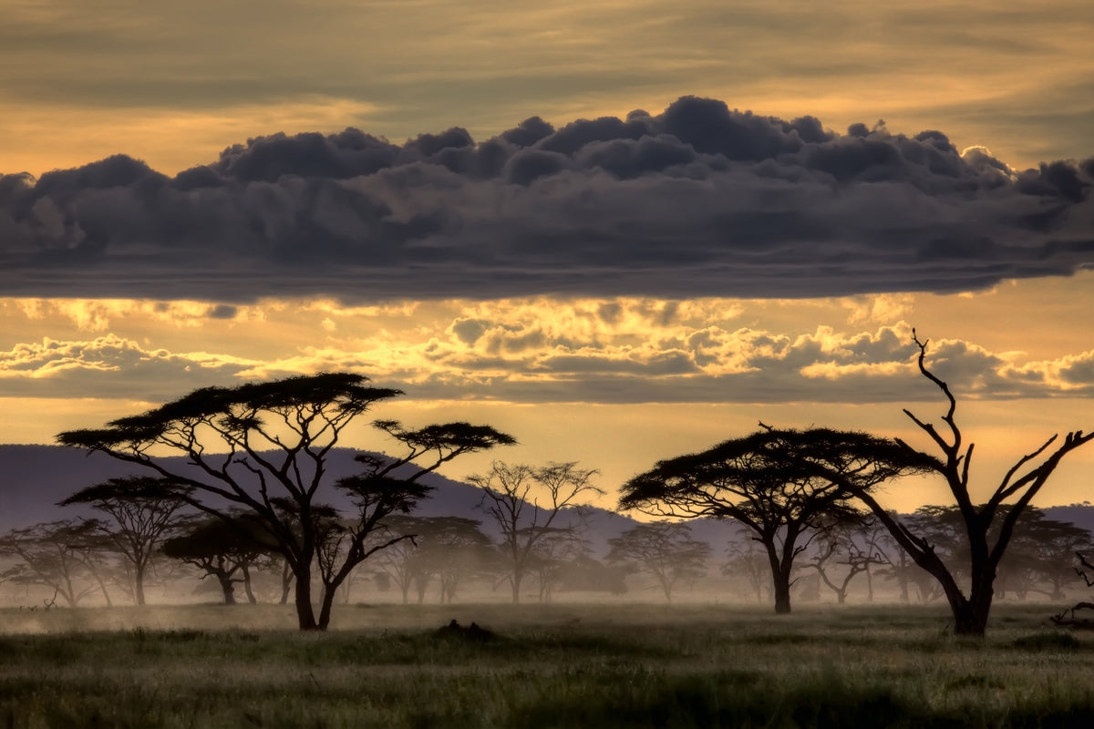 aluminium-print-good-evening-tanazania