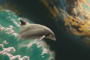 canvas-print-fascination-dolphin