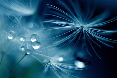 poster-print-soft-touch-x