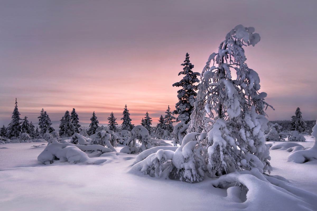 acrylic-print-lappland-winterwonderland-x