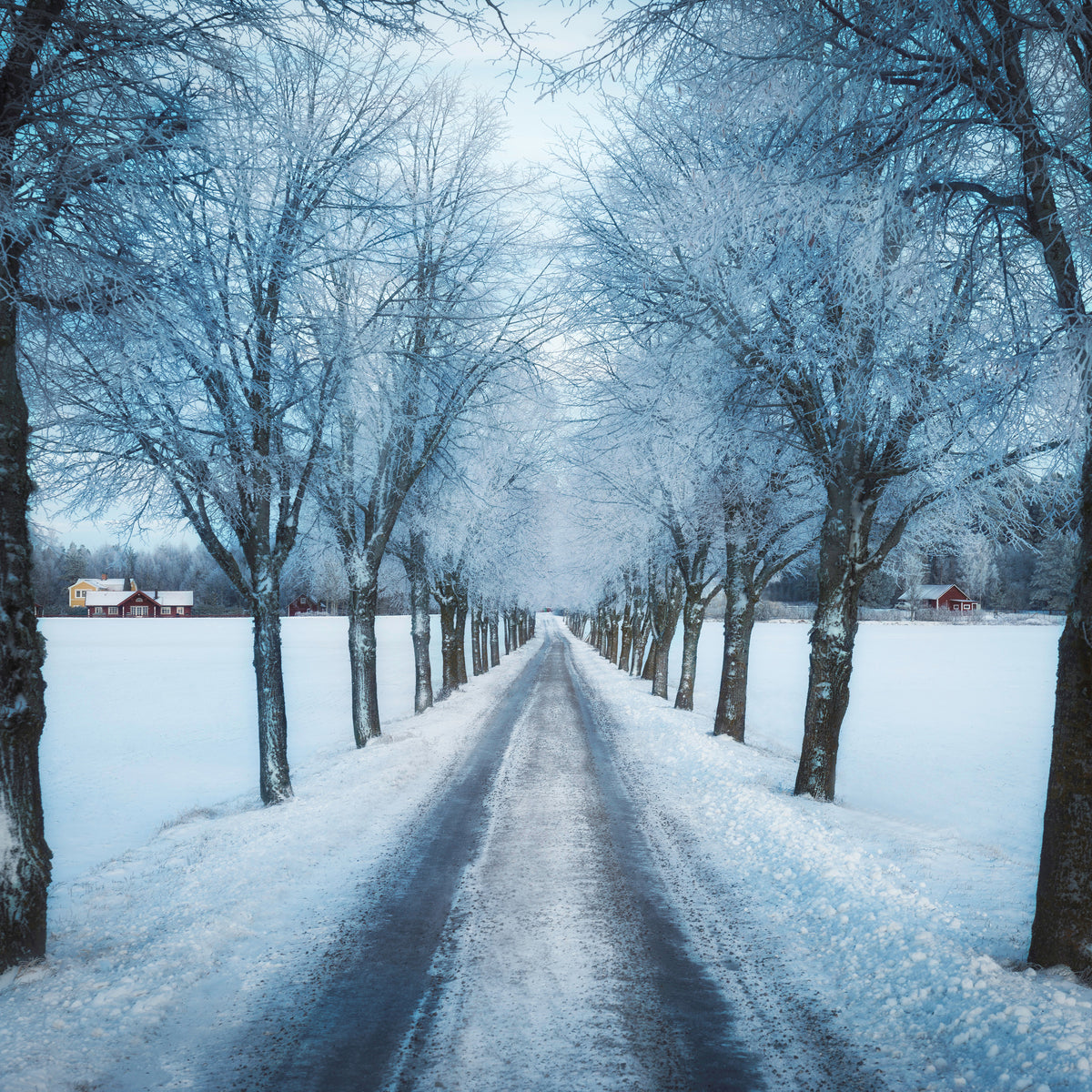 aluminium-print-swedish-winter-x