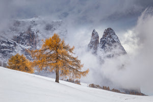 aluminium-print-between-seasons-x