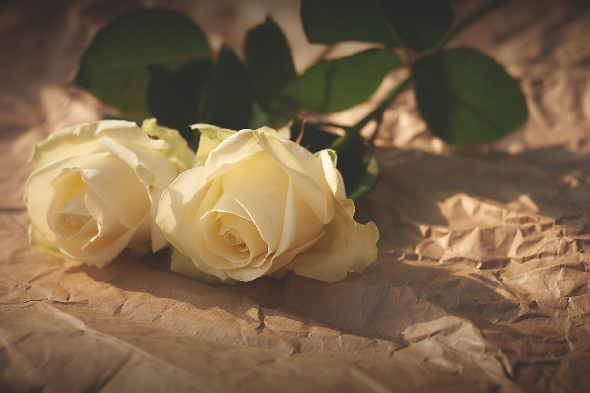 poster-print-the-purity-of-the-roses