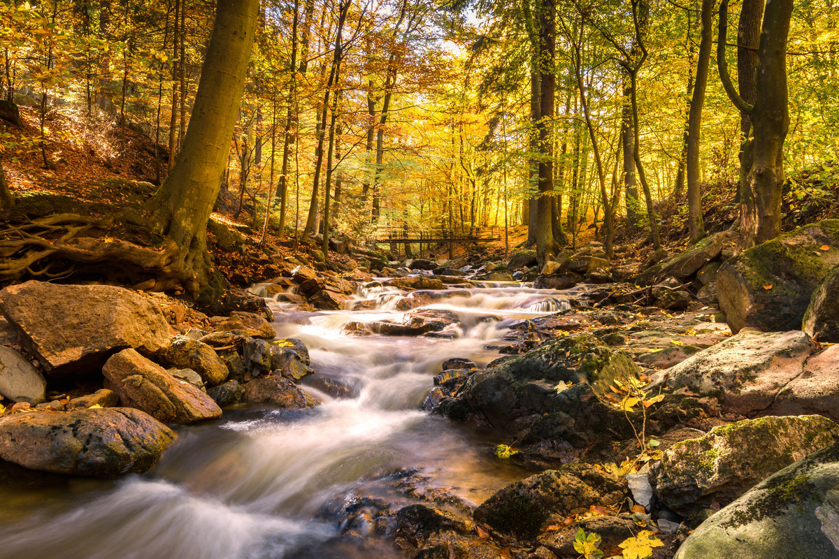 3-piece-canvas-print-real-nature-beauty