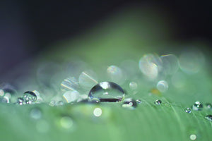 framedcanvas-print-drops-of-water-in-xxl