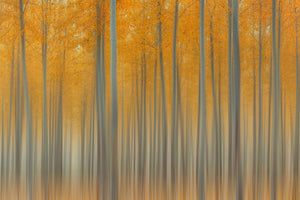 modern-3-piece-acrylic-print-autumn-delight-ii