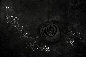 poster-print-rose-noire