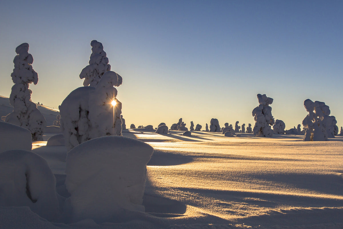 canvas-print-in-lapland