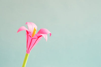 poster-print-flowers-origami