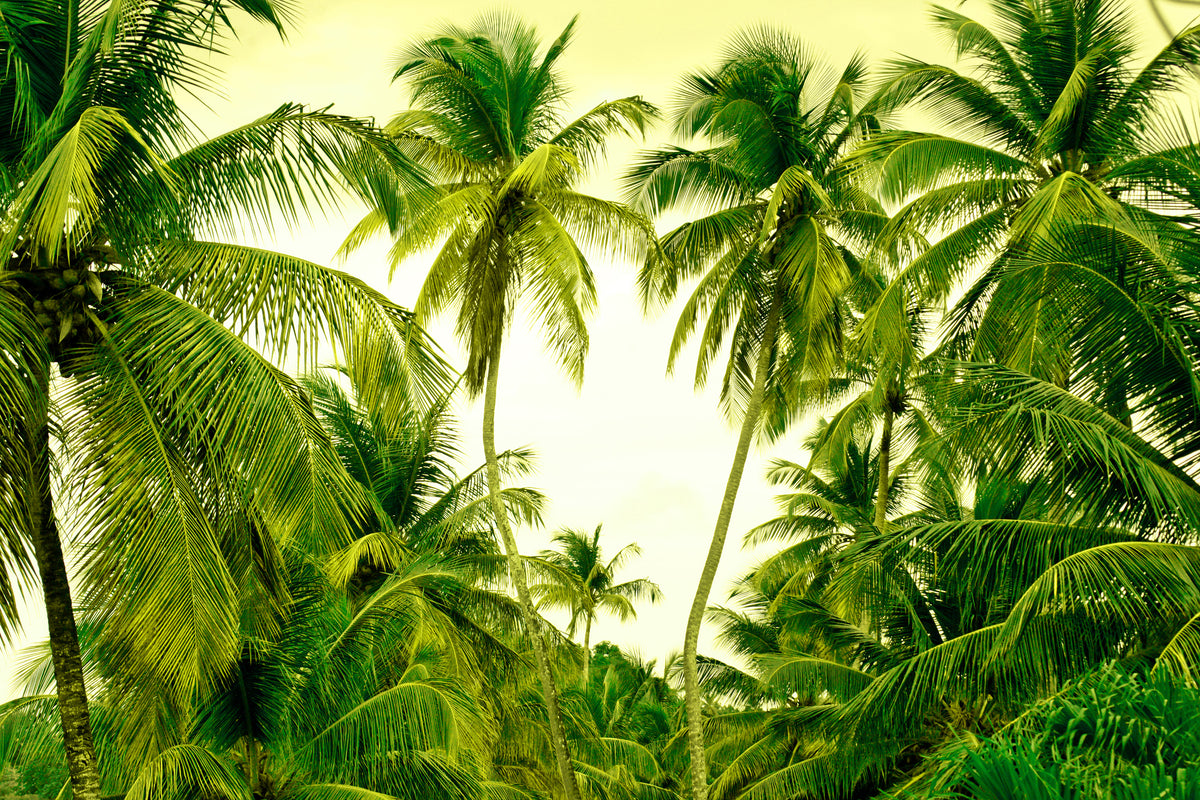 poster-print-mural-ready-for-a-vacation