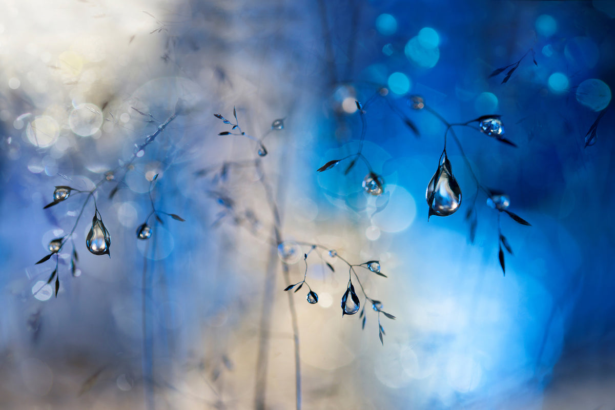 framedposter-print-blue-rain