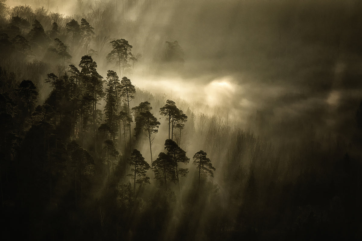 acrylic-print-streiflichter