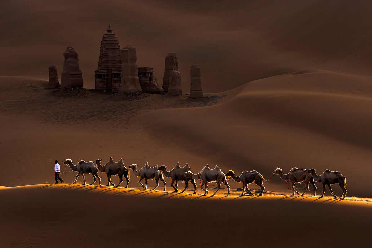 acrylic-print-castle-and-camels