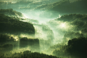 modern-3-piece-canvas-print-over-the-woods
