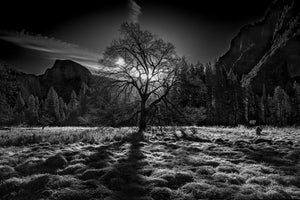 acrylic-print-the-winter-spirit