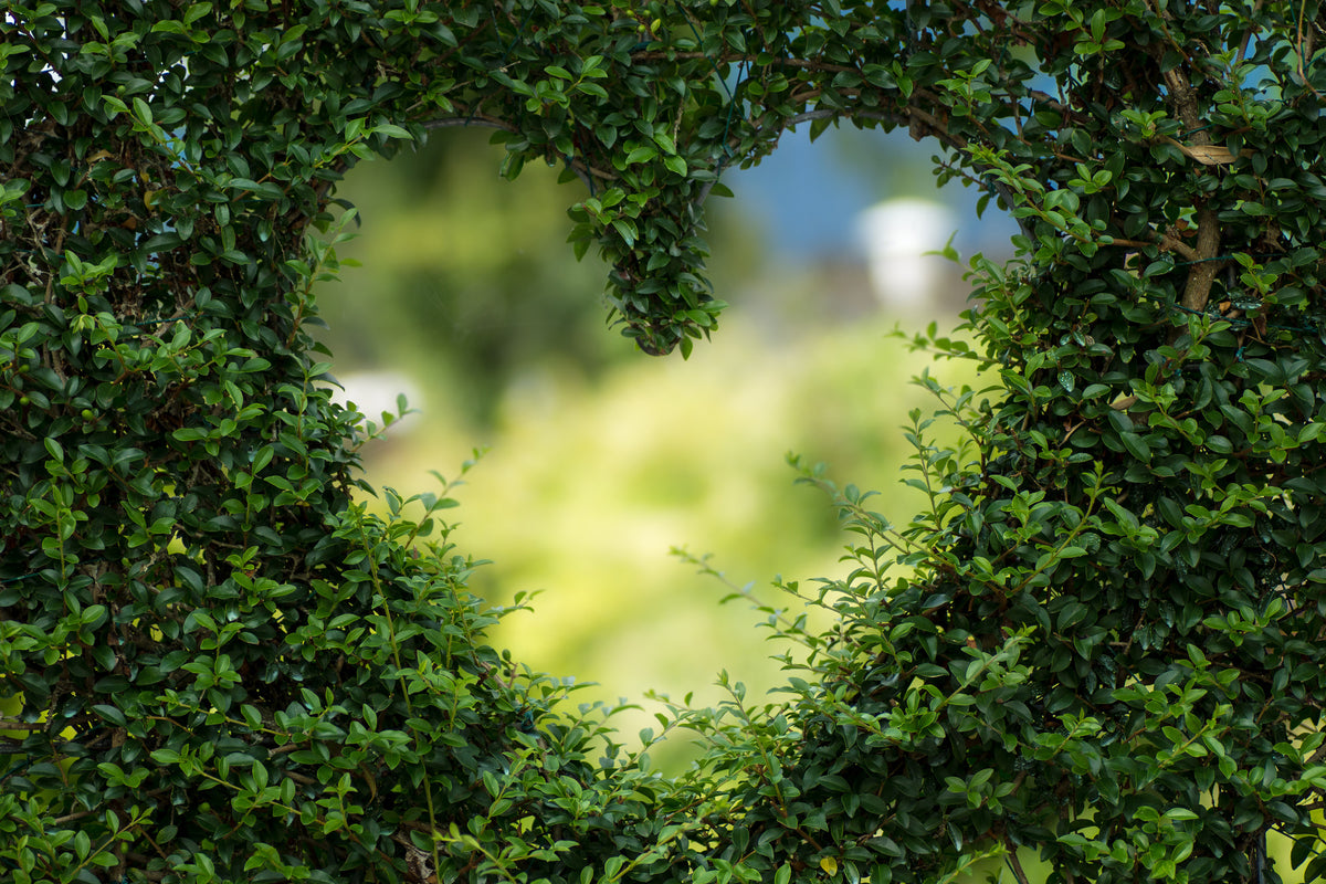 3-piece-canvas-print-the-heart-in-the-hedge