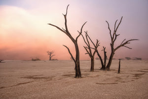 acrylic-print-fog-in-deadvlei