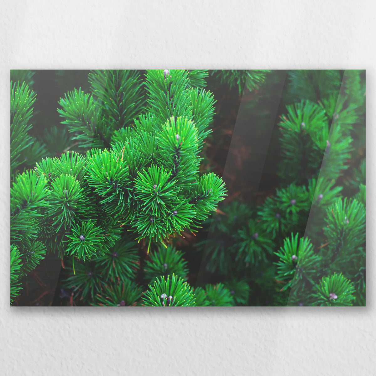 AC-030W020
