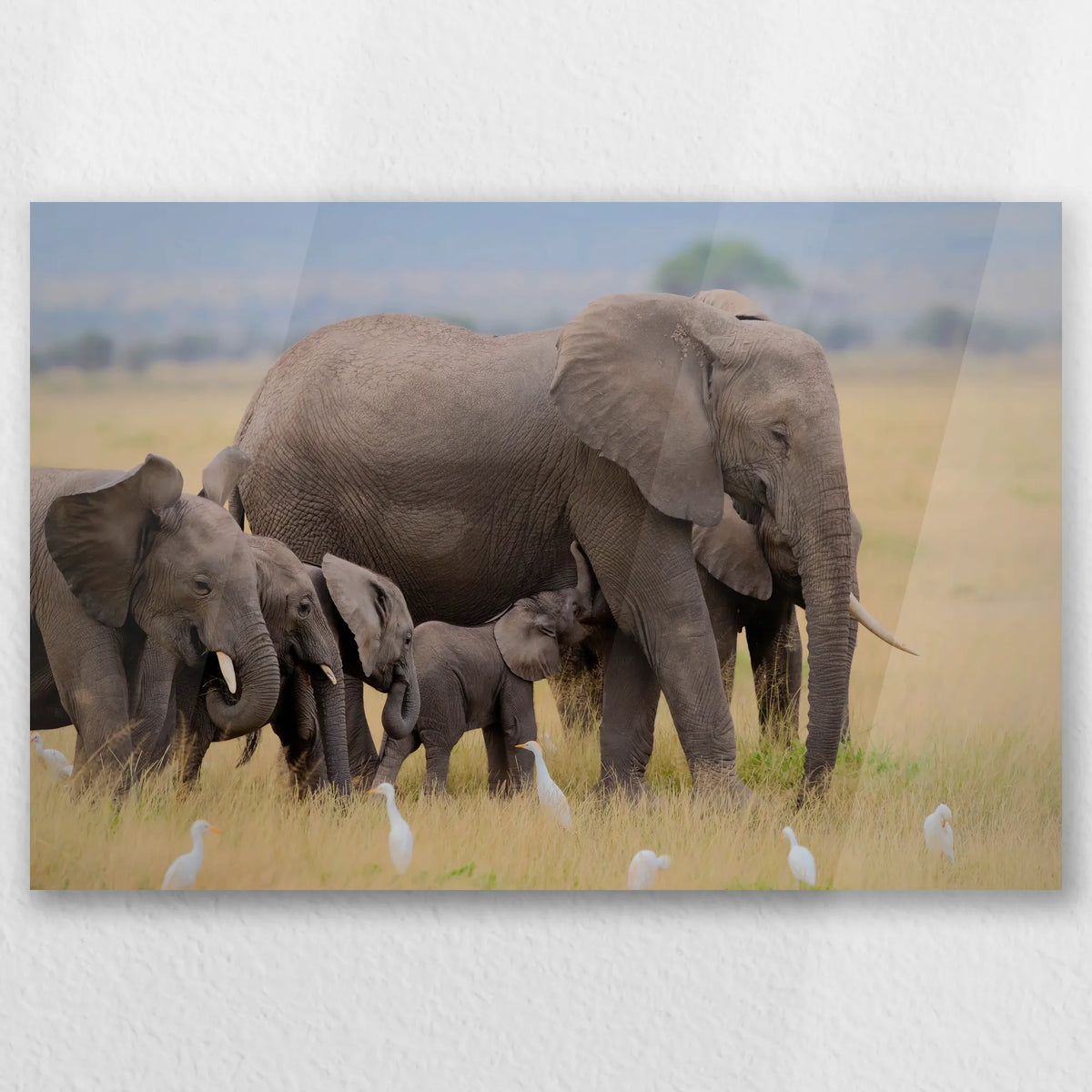 AC-030W020