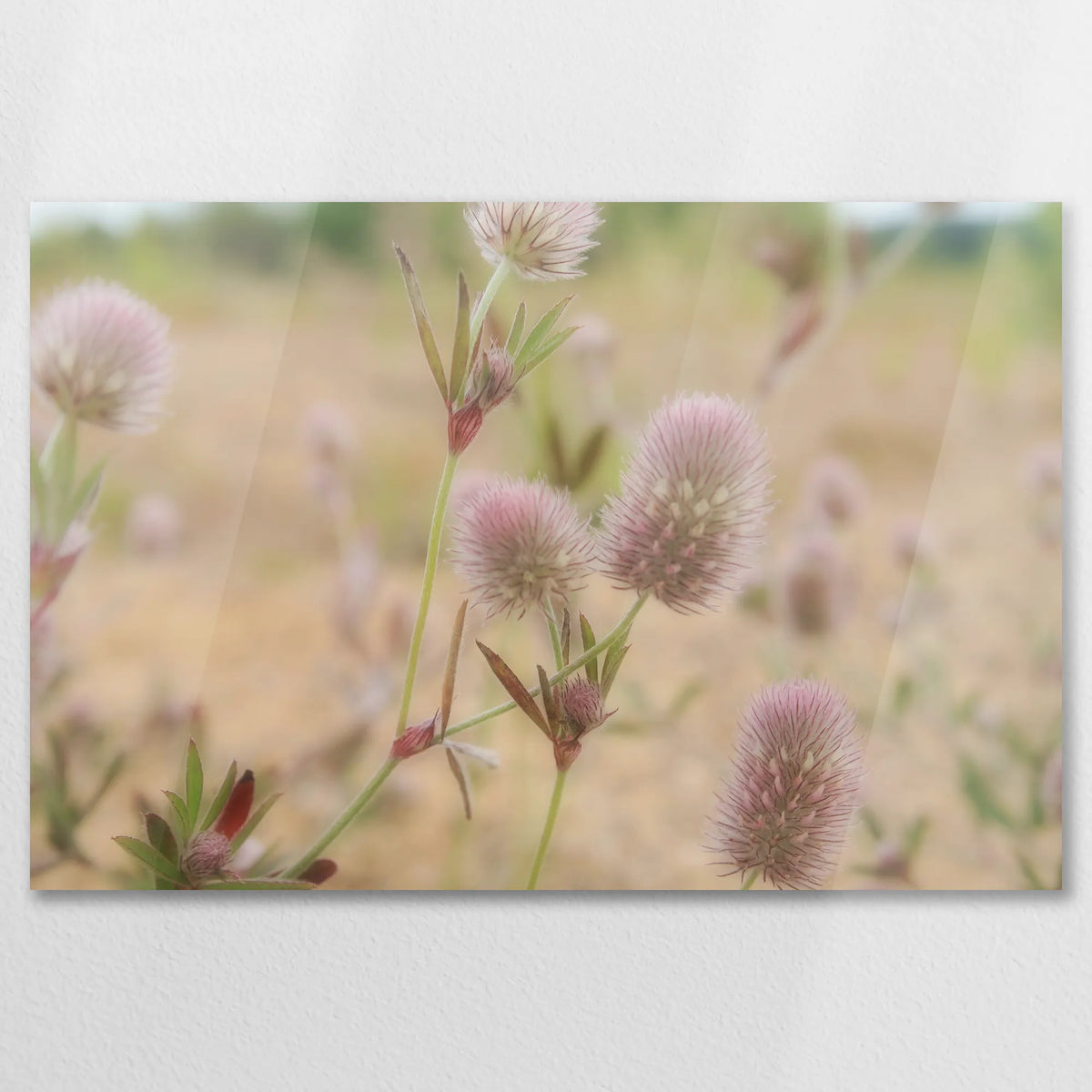 AC-075W050