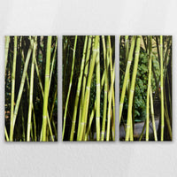 LW-120R080