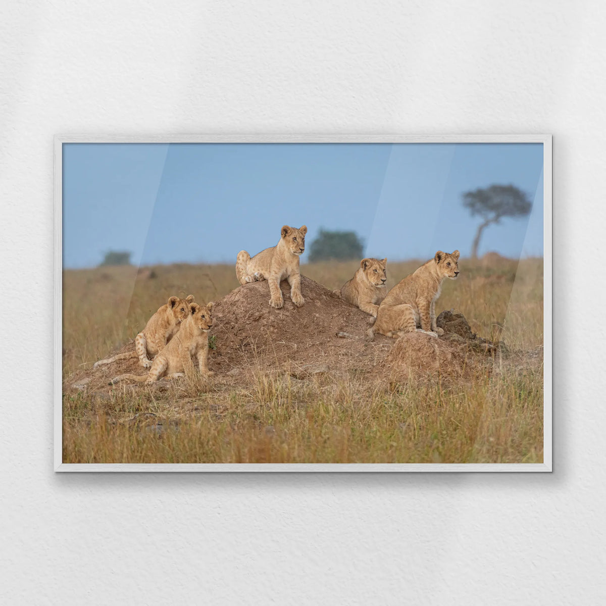PW-100W070