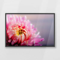 PK-093W062
